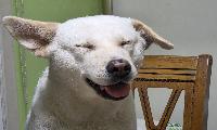 덕암 칼럼 행복은 각자의 역량이다