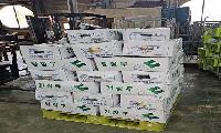 안산시농수산물도매시장, 반월농산 무 760kg 기탁으로 이웃사랑 실천